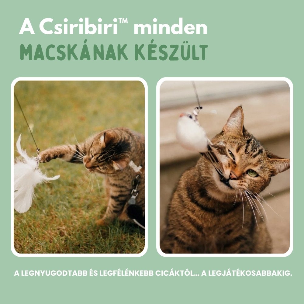 Interaktív macskajáték tollakkal, függesztve és ruganyos mozgással