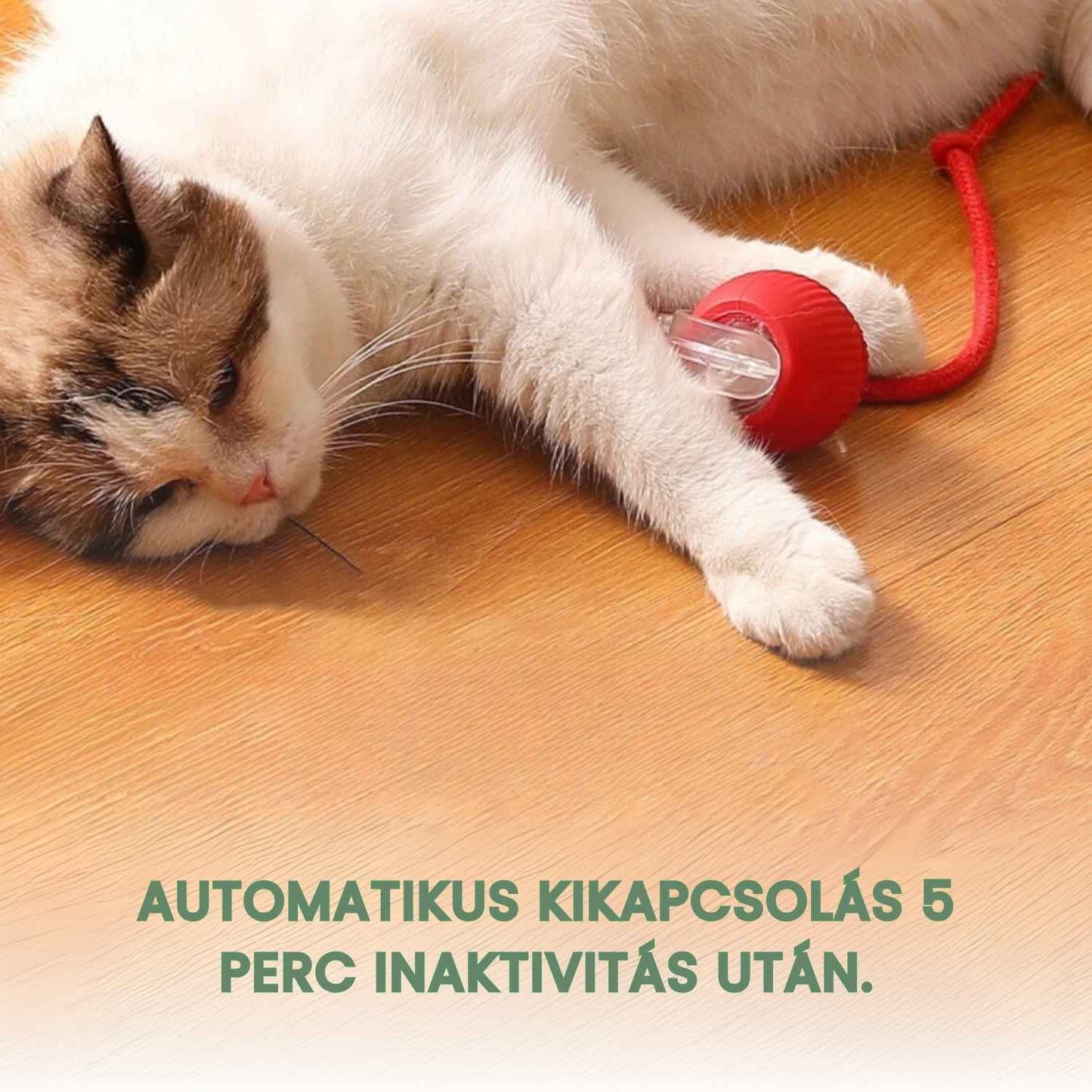 Intelligens és interaktív labda a cicádnak – USB-n keresztül tölthető
