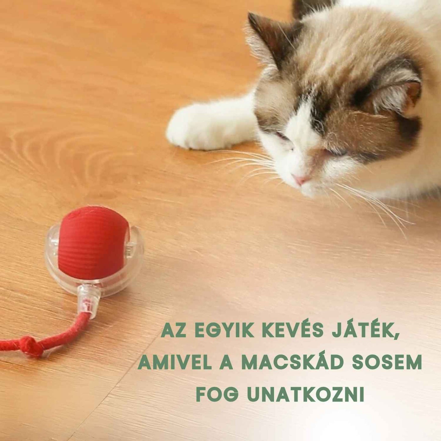 Intelligens és interaktív labda a cicádnak – USB-n keresztül tölthető