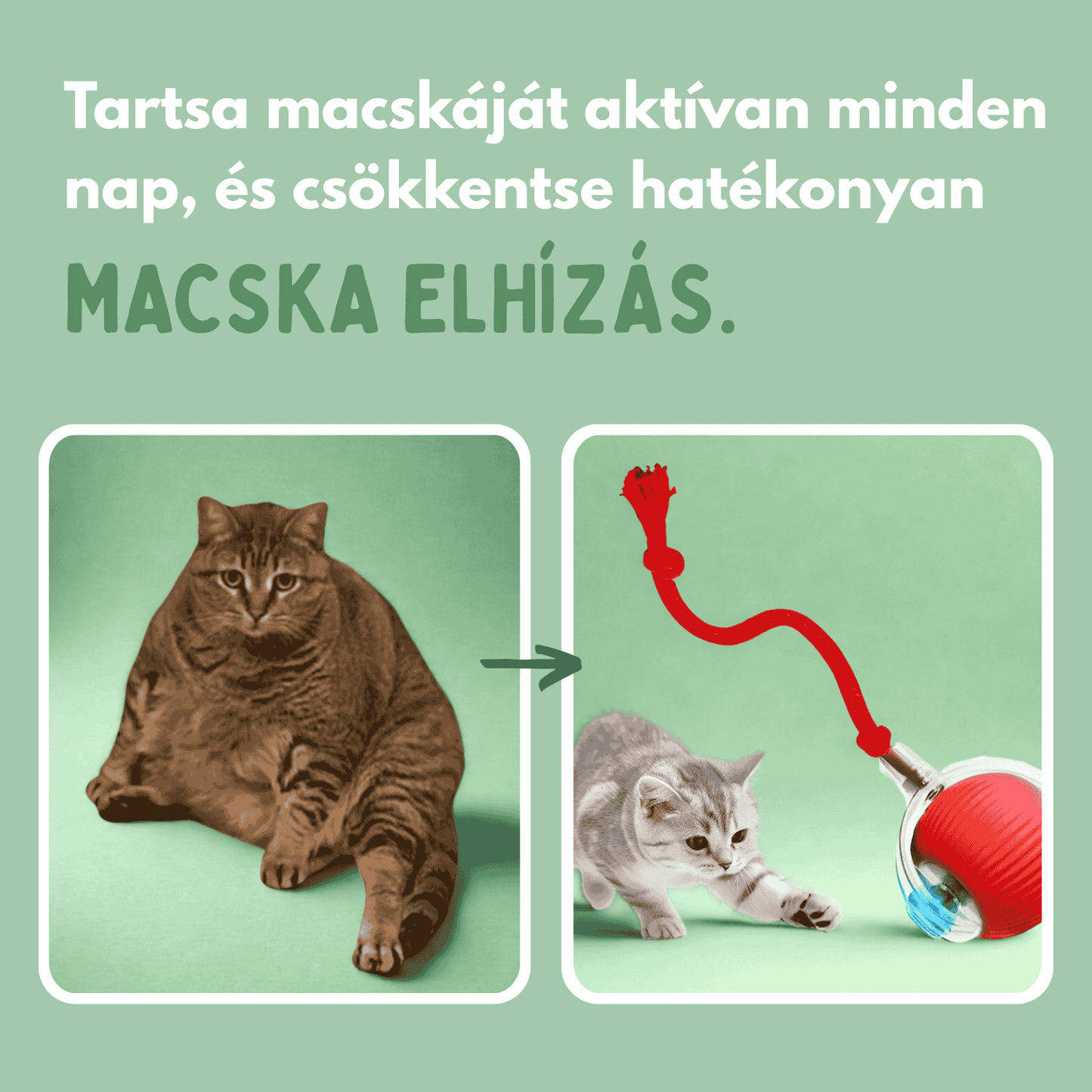 Az intelligens labda macskáknak, 100%-ban autonóm, valódi zsákmányt utánzó mozgásra tervezve