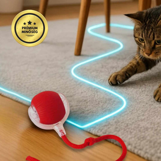 Az intelligens labda macskáknak, 100%-ban autonóm, valódi zsákmányt utánzó mozgásra tervezve