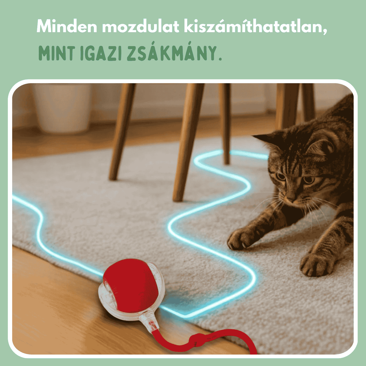 Az intelligens labda macskáknak, 100%-ban autonóm, valódi zsákmányt utánzó mozgásra tervezve
