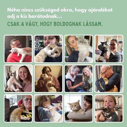 Az intelligens labda macskáknak, 100%-ban autonóm, valódi zsákmányt utánzó mozgásra tervezve